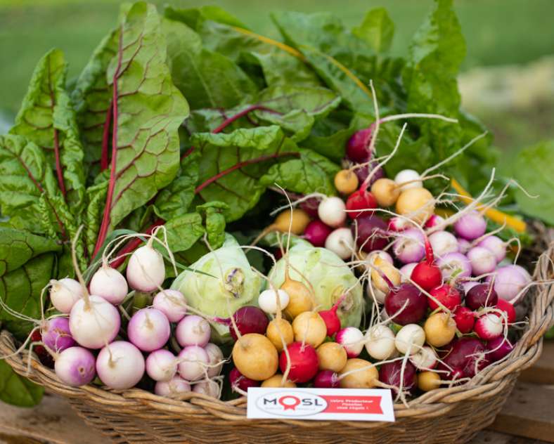 Laetitia Lhermite La ferme de Domangeville