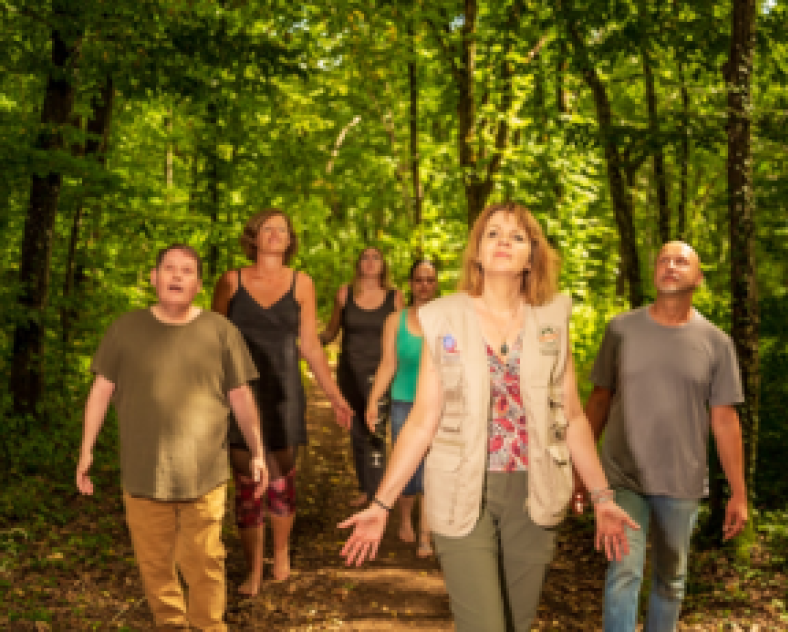 D. Protin  Sylvotherapie: Eintauchen in Sinne und Energie