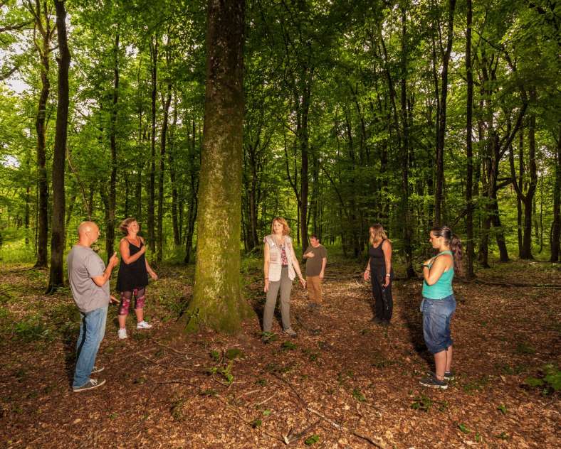 D. Protin  Sylvotherapie: Eintauchen in Sinne und Energie