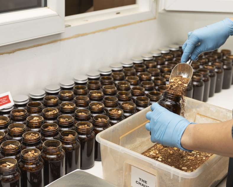 Laetitia Lhermite Greenma