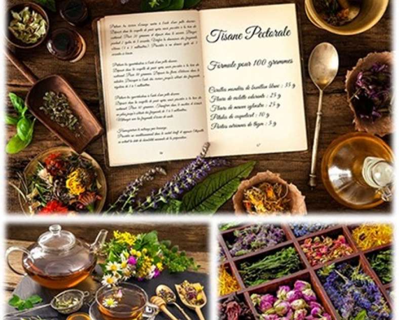 SFE Atelier - Fabrication de tisanes