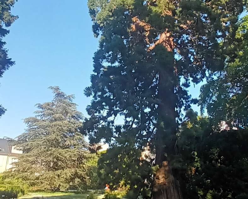 Sylvie GROSSE Sophro balade au Botanique