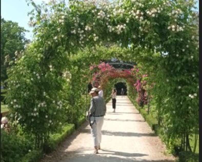 Sylvie GROSSE Sophro balade au Botanique