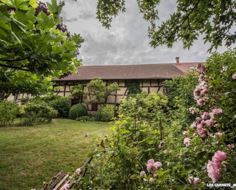 JM GUZIK Randoland aux étangs de Hoste