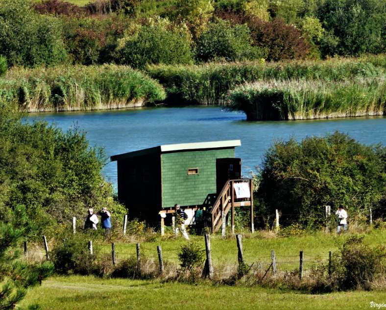 V. BERNHARD Hoste - Valette