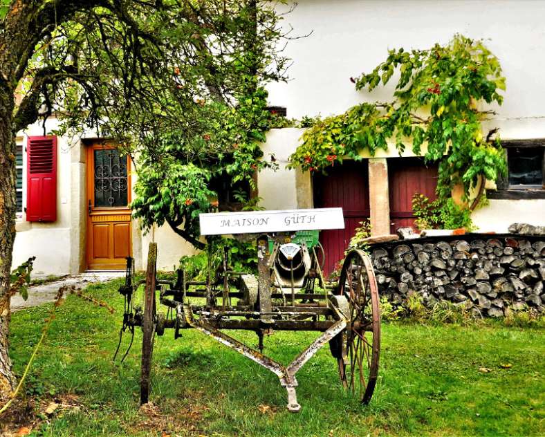 Virginie BERNHARD Hoste - Valette