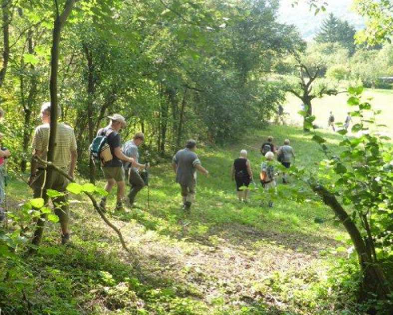 Club Vosgien Club vosgien de Thionville et environs