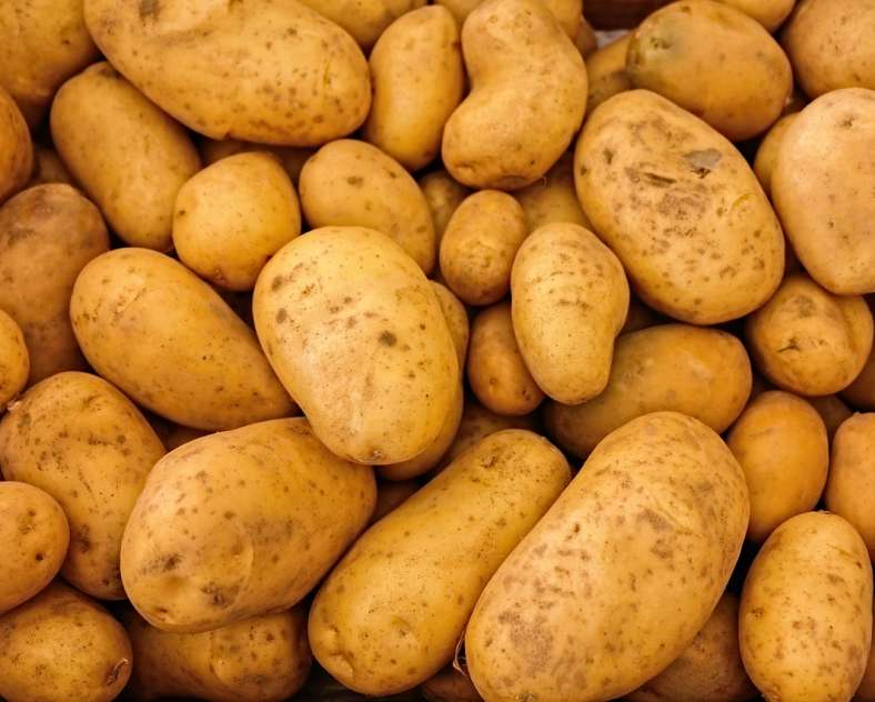 Image par Christos Giakkas de Pixabay  Earl du Kandel