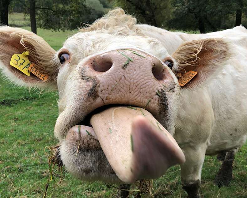 Val de Fensch Tourisme Circuit des 3 collines