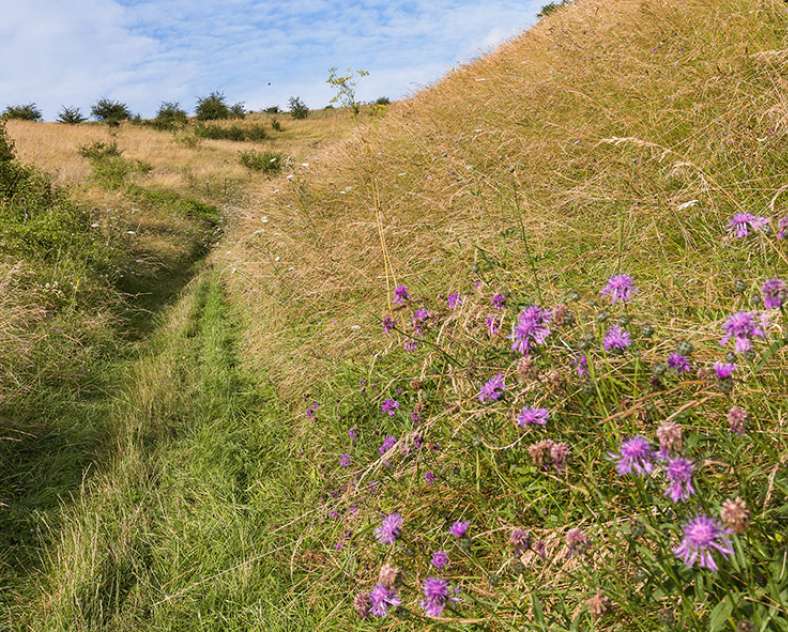 Raoul Gilibert production photographique Circuit des 3 collines