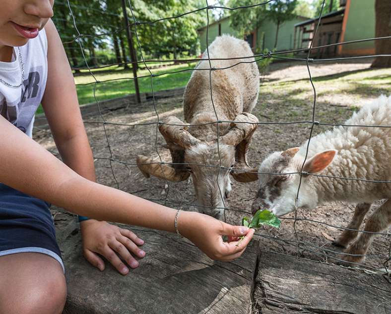 Raoul Gilibert production photographique  Circuit découverte de Florange