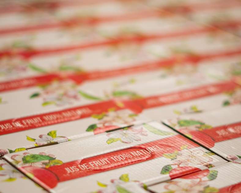 Pierre Rein LA CABANE A JUS