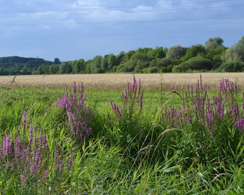 Julien Frantz Circuit de La Grange