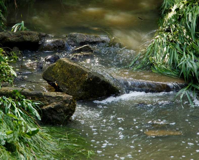 Dominique Steinmetz Boucle de Châtillon