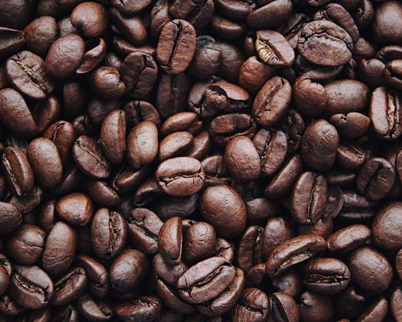 Igor Haritanovich - Pexels  Café Brésilia
