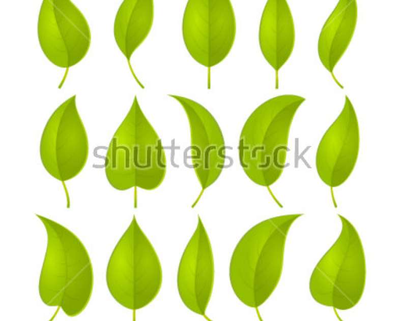 Freepik Par nature