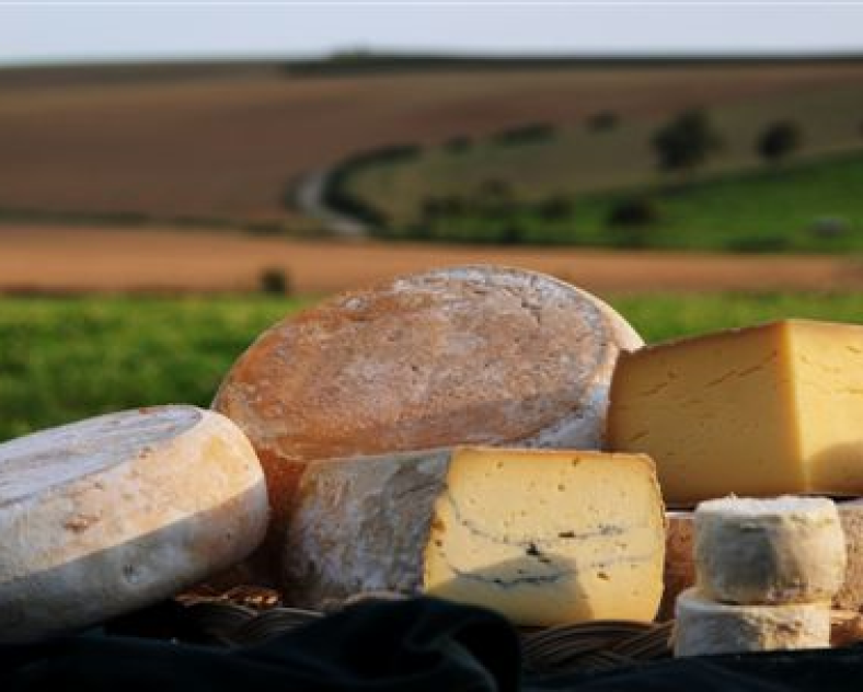 Roland Repplinger Ferme les grands vents