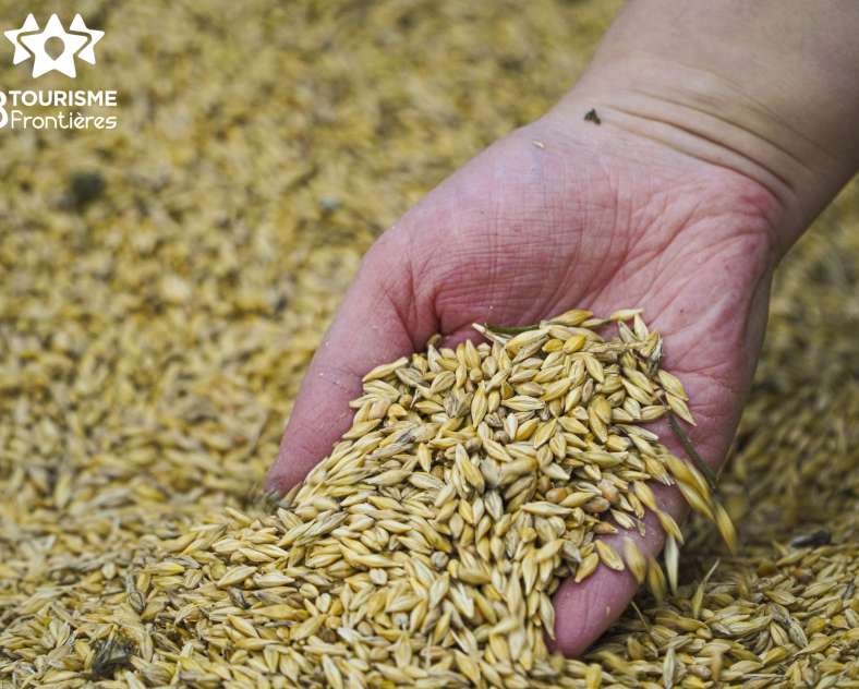 Trois Frontières Tourisme Earl du Chambeyron