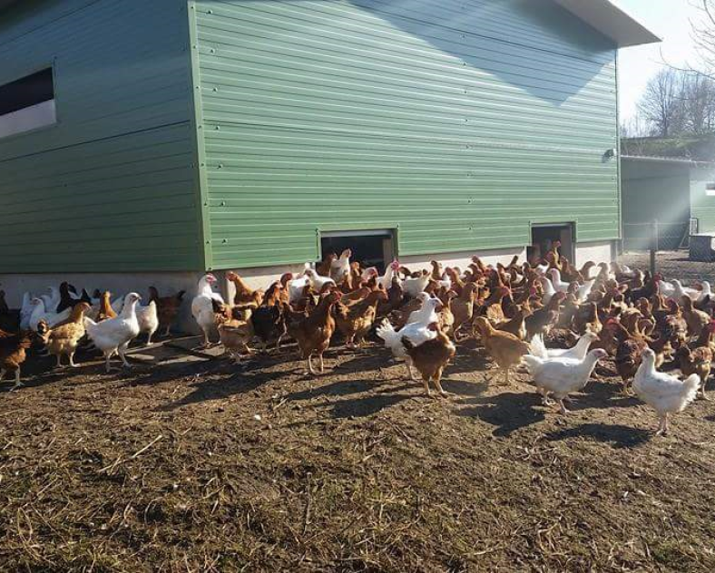 Ferme Porten Bauernhof Porten