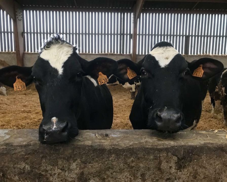 Ferme de la Ceriseraie - Louis Gérardy Ferme de la ceriseraie