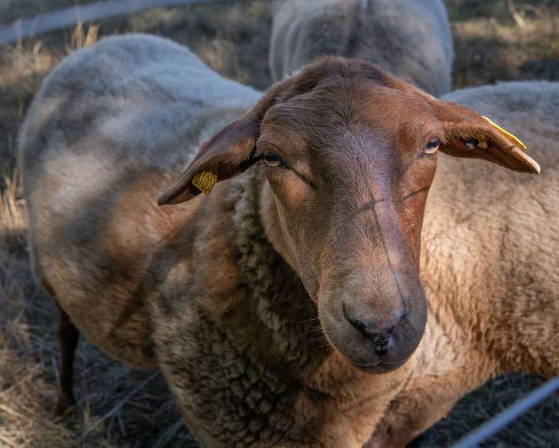 Les photos de Véro Les jardins de Popote