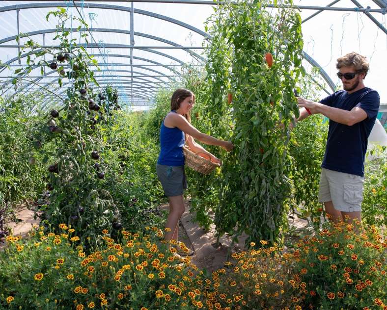 Les photos de Véro Les jardins de Popote