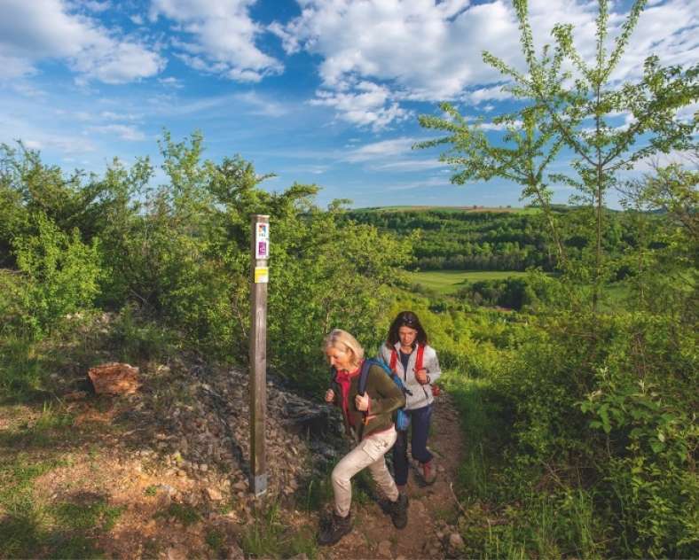 Patrick Müller, SaarSchleifenLand  M3-Trail-Rennstrecke (geschlossen)