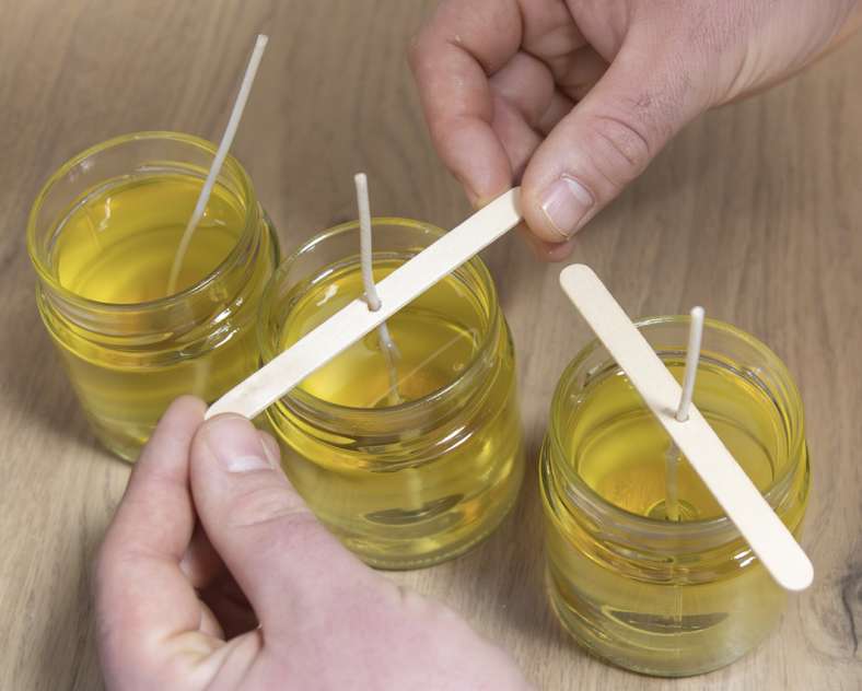 Véronique Vial  Ginkgo déco