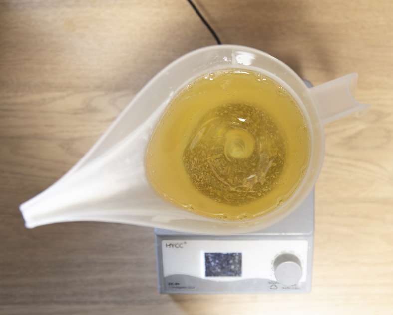 Véronique Vial  Ginkgo déco