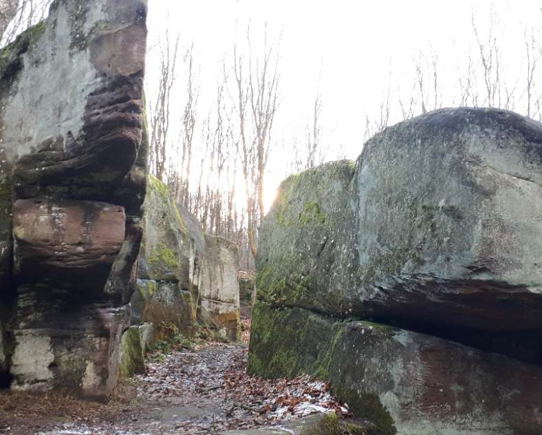 Pays de Phalsbourg Tourisme Escalade au Rocher Lorenzo