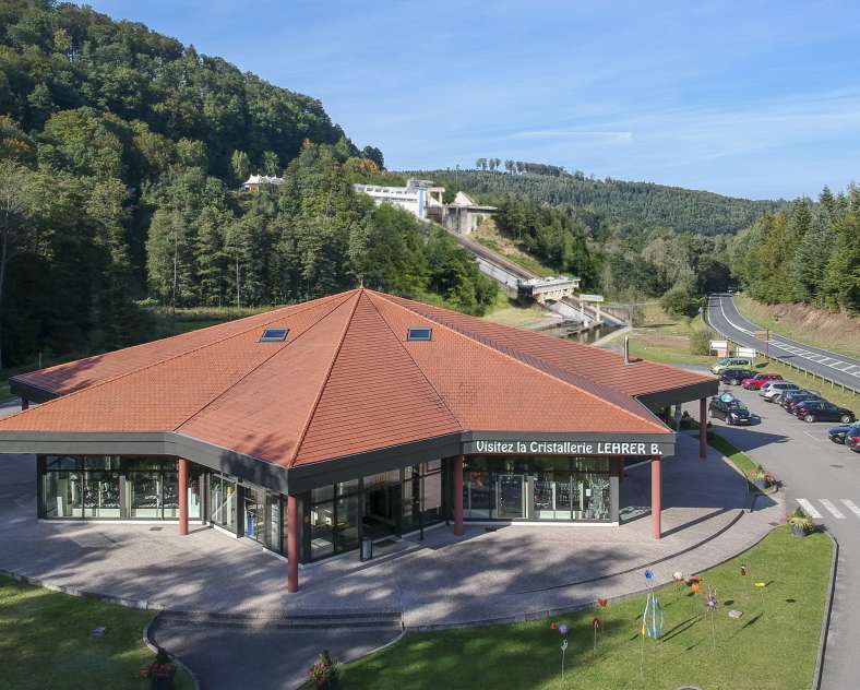 Cristal Lehrer Cristal Lehrer