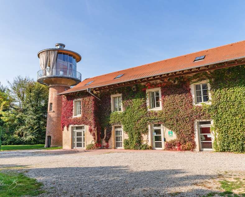 Ville de Phalsbourg Les Gîtes du Château - Suzel