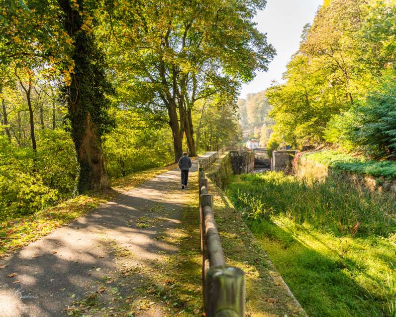 OT Pays de Phalsbourg - Patrice Bucher La Vallée des Éclusiers