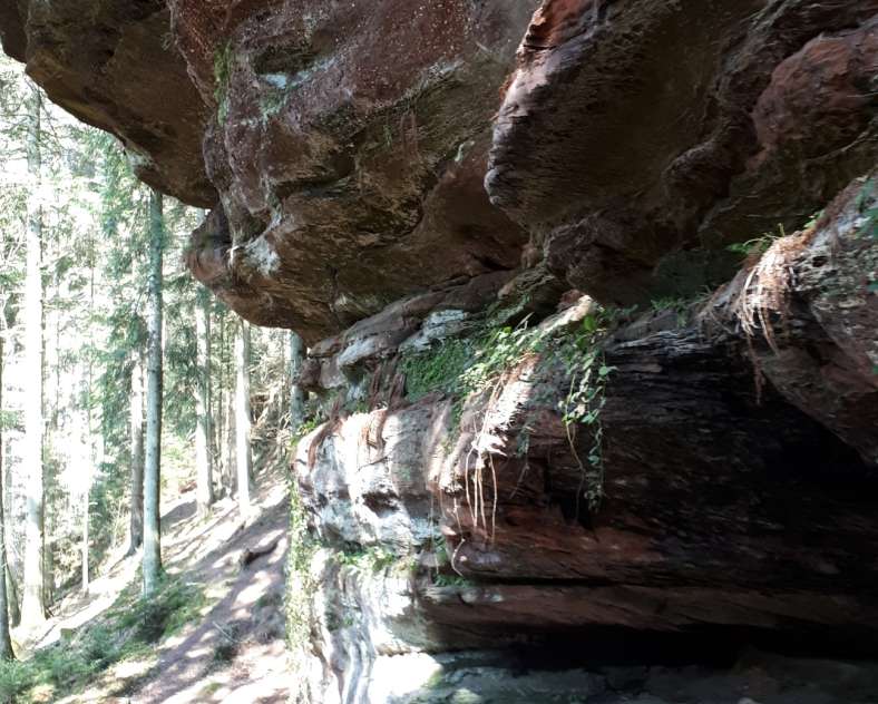 LOGO OT PAYS DE PHALSBOURG  Rocher de la Bande Noire