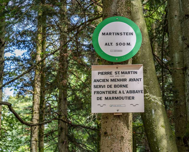 Patrice BUCHER Borne Saint-Martin