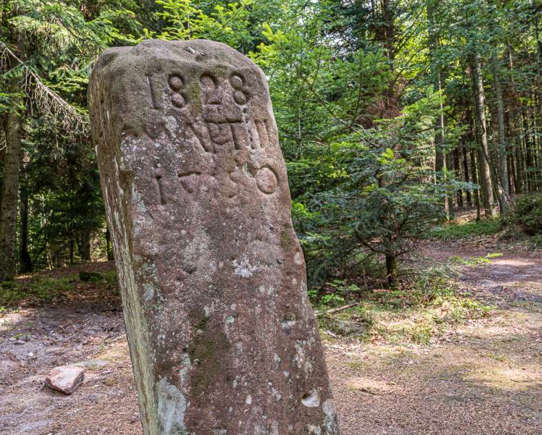 Patrice BUCHER Borne Saint-Martin