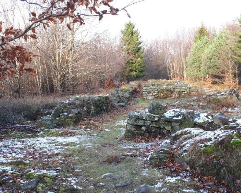 Pays de Phalsbourg Tourisme Vestiges gallo-romains du Wasserwald