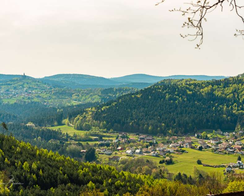 Patrice BUCHER Circuit du Sickertkopf