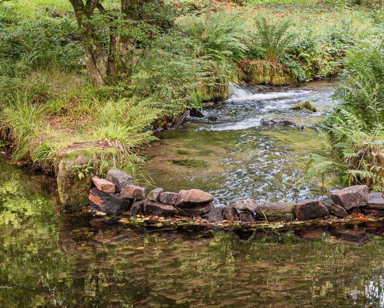 Patrice BUCHER  Circuit sur les versants de la rivière Zorn entre Harreberg et Dabo