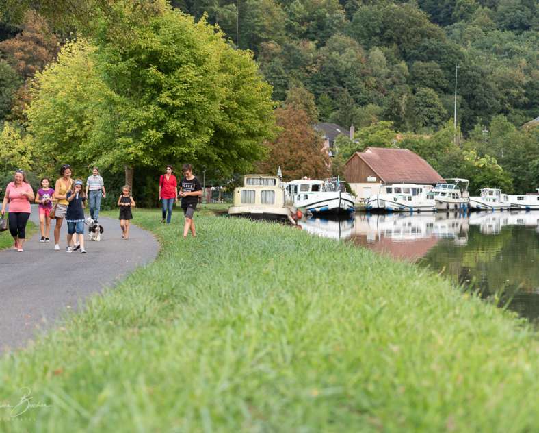 Patrice BUCHER  Sentier du Buchholzkopf et sentier des roches