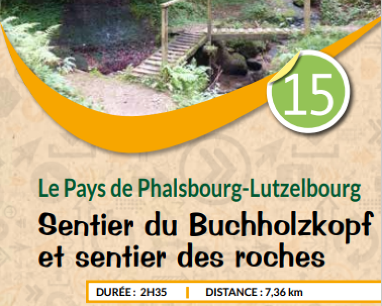 PETR  Sentier du Buchholzkopf et sentier des roches
