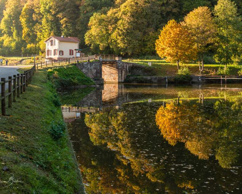 Patrice BUCHER  Circuit vélo de l'Eselbahn