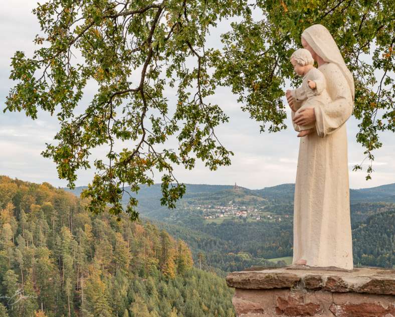 Patrice BUCHER Circuit vélo les sommets de la Moselle