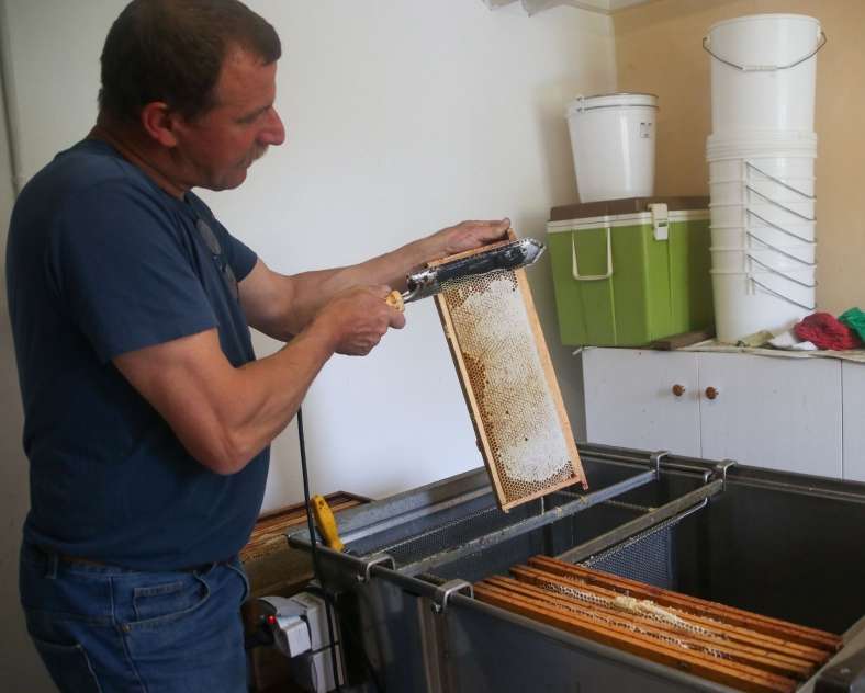 Lid Sirkis  Rucher des jardins