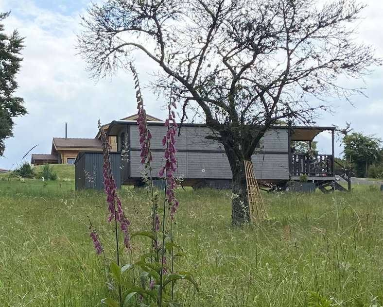 stock daniel Roulotte Au Rendez-vous des Geais