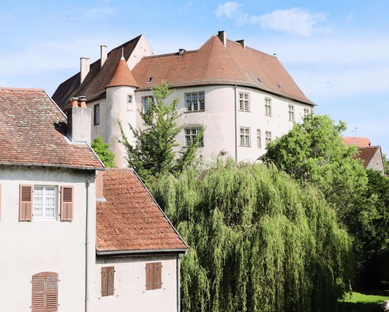TSMS - A. Muller Das Schloss von Fénétrange