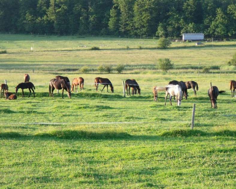 Edgard VAN HAAREN  Gästezimmer Chez Évelyne