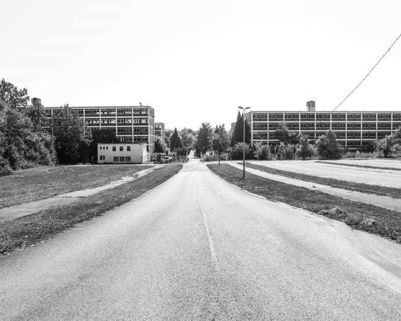 Impala Familienausflug in Bataville