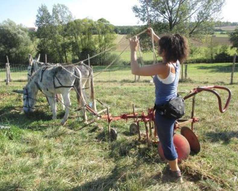Champ du Ver Luisant Bauernhof Le Champ du Ver Luisant