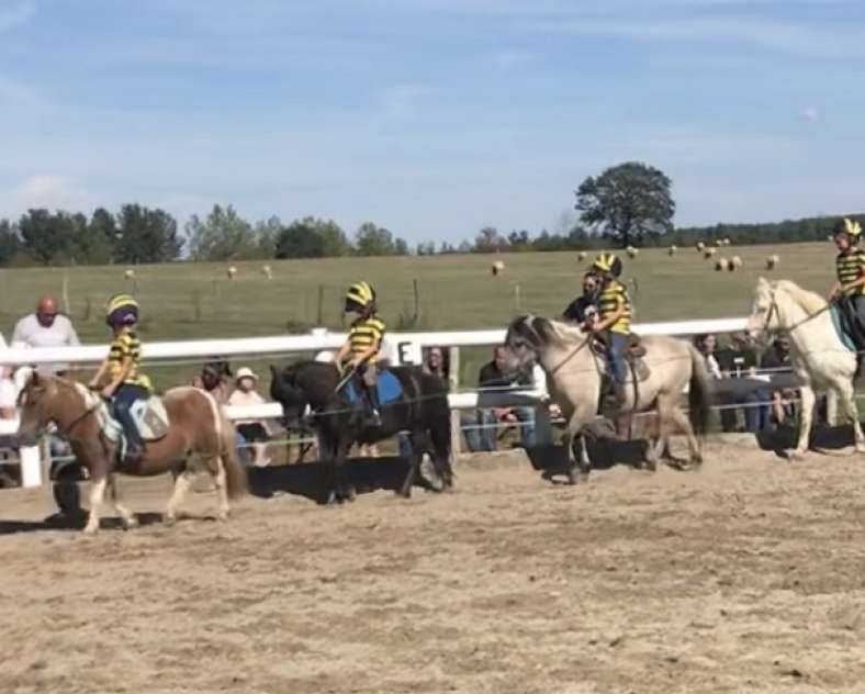 Nadège Koestler Domaine équestre du Jardinot